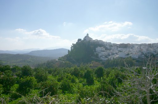 Álora